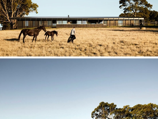 Cubiertas laterales de madera ennegrecidas esta casa moderna de la granja en Australia rural