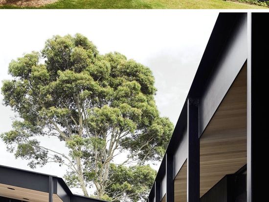 Cubiertas laterales de madera ennegrecidas esta casa moderna de la granja en Australia rural