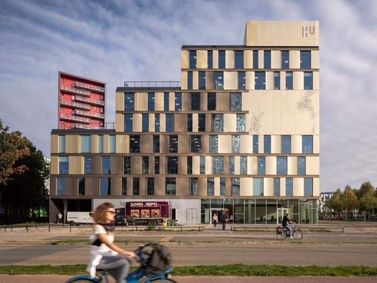 el martillo lassen de Schmidt conecta las instalaciones de la universidad holandesa con las escaleras de entrecruzamiento