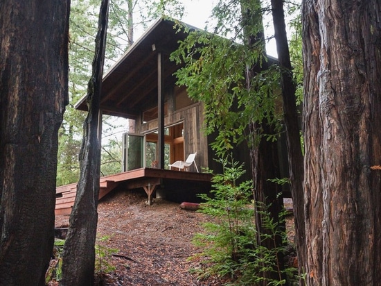 cabina de la madera con la red de las cubiertas suspendidas entre las secoyas de California