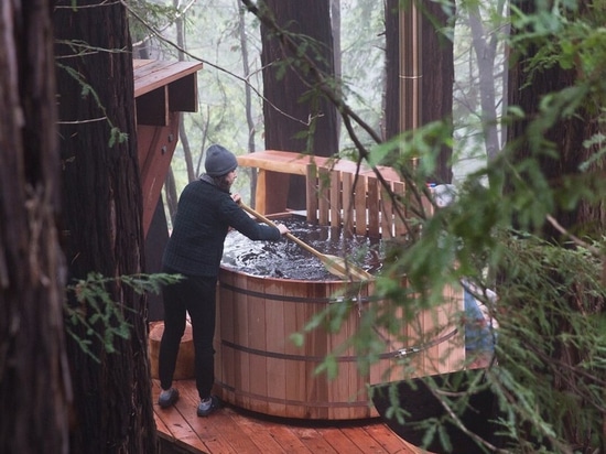 cabina de la madera con la red de las cubiertas suspendidas entre las secoyas de California