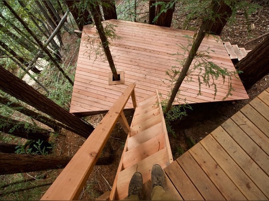 cabina de la madera con la red de las cubiertas suspendidas entre las secoyas de California