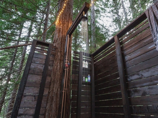 cabina de la madera con la red de las cubiertas suspendidas entre las secoyas de California