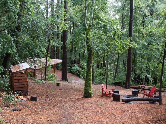 cabina de la madera con la red de las cubiertas suspendidas entre las secoyas de California