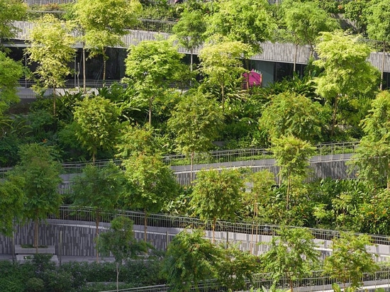 serie y multiplicar a arquitectos para terminar ‘terrazas bucólicas del oasis’ en Singapur