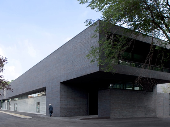 centro entero de la natación de Brescia de los clads del architetto del botticini del camillo con el ladrillo negro