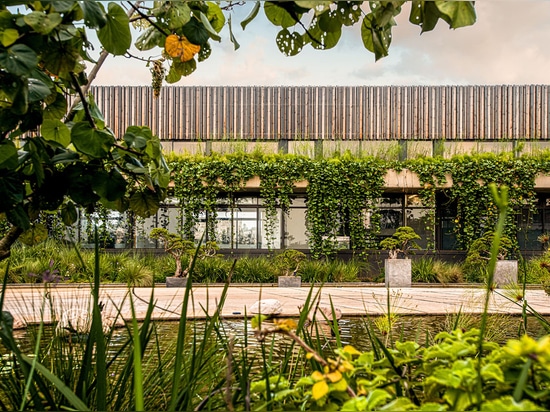 Bloc Architects completa un edificio de oficinas de baja altura con elementos básicos en Sudáfrica