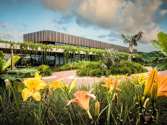 Bloc Architects completa un edificio de oficinas de baja altura con elementos básicos en Sudáfrica