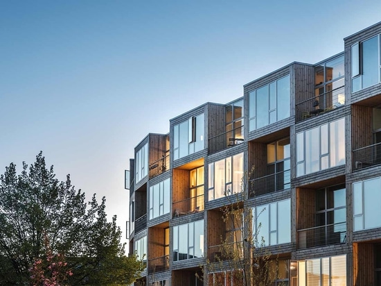 PREGUNTAS Y RESPUESTAS: Una visión de Nueva Zelanda sobre la