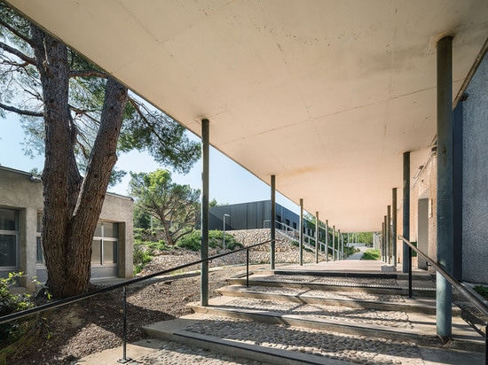 ¿Arquitectos revestidos de la CACEROLA de los paneles de emparedado de madera y del metal? extensión destacada de la escuela de la arquitectura de Marsella