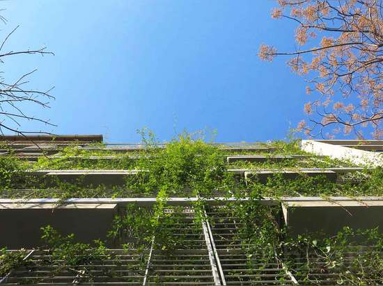 Palo Santo es un hotel enorme, respetuoso del medio ambiente envuelto en 800 variedades de plantas