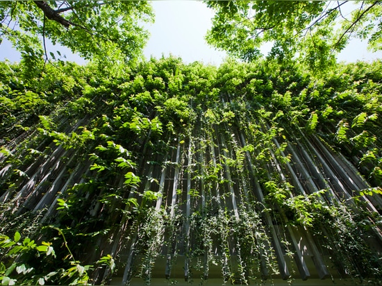 un sistema de lumbreras concretas verticales con las vides verdes reduce luz del sol directa mientras que permite el flujo del viento