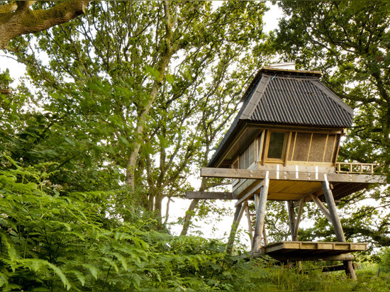 Nozomi Nakabayashi, choza en los zancos, Dorset, Reino Unido