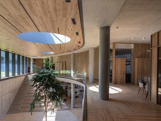 Oficinas Novopan / Diez + Muller Arquitectos