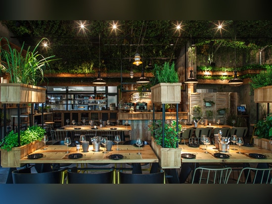 Las plantas en este restaurante son las hierbas con las cuales el cocinero utiliza para cocinar