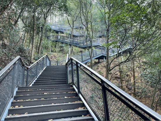 Camino de tablas de bambú