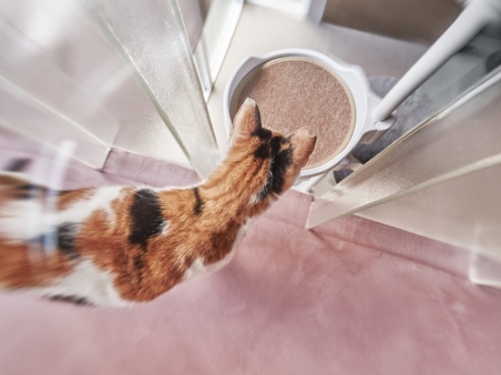 Un equilibrio perfecto de exuberancia y refinamiento: la grifería Ritmonio para The Meishan Cat House, en Taipei.