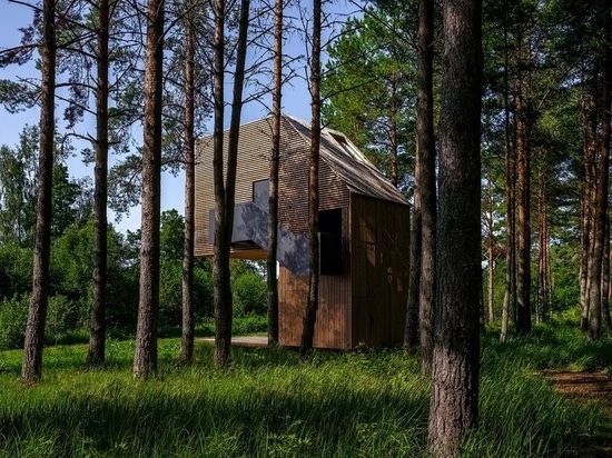 Esta casa en un árbol de Estonia fue diseñada como mirador del bosque