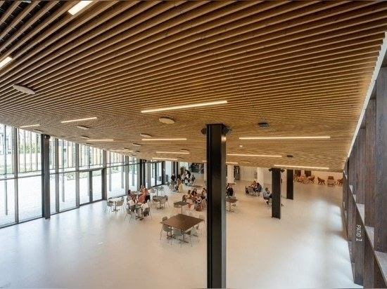 Campus AG, Bruselas