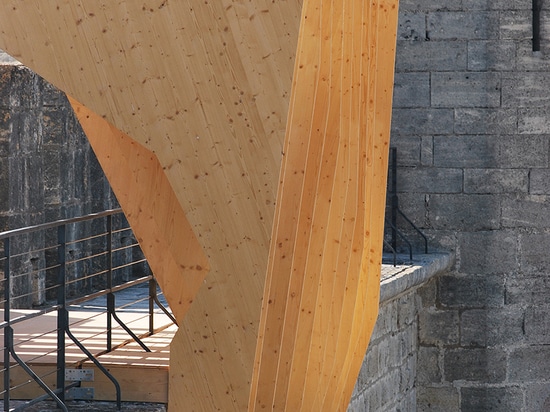 el façade del interior del terraplén demuestra una estructura que ha crecido demasiado las paredes