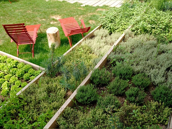 el jardín vegetal tiene una súplica multisensorial que satisfaga la nariz así como el ojo