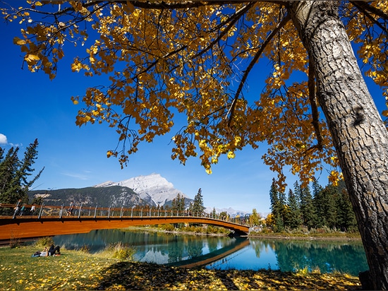 El arco de madera del puente peatonal Nancy Pauw cruza el río Bow en Canadá