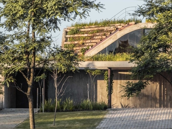 Una casa que surge del suelo formando un jardín de tres niveles