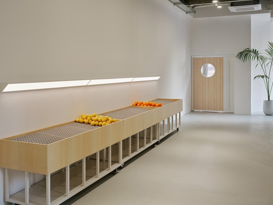 Café OZBE / Estudio KKOL