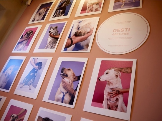 Labilla está en Pitti Uomo y Pitti Bimbo 2024.