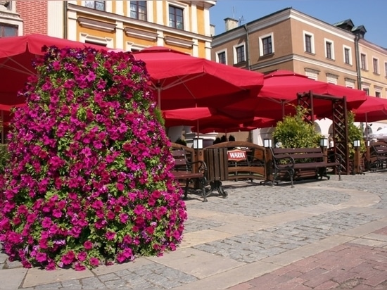 Torres florales: Jardines verticales que redefinen los espacios verdes urbanos