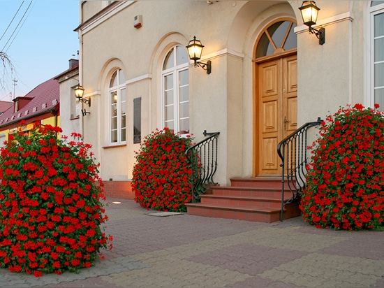 Torres florales: Jardines verticales que redefinen los espacios verdes urbanos