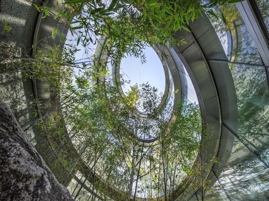 Un nuevo café en Corea del Sur inspirado en un paseo por la naturaleza