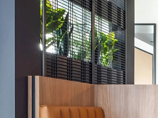 La jardinera de interior incorpora la malla soldada Banker WDZ-539 como enrejado en este espacio de coworking.
