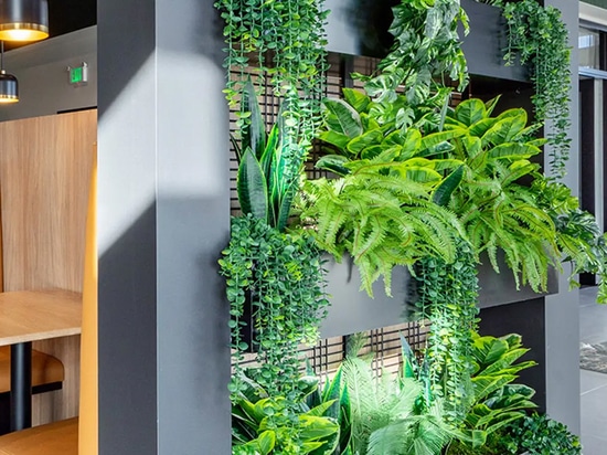 La jardinera de interior incorpora la malla soldada Banker WDZ-539 como enrejado en este espacio de coworking.