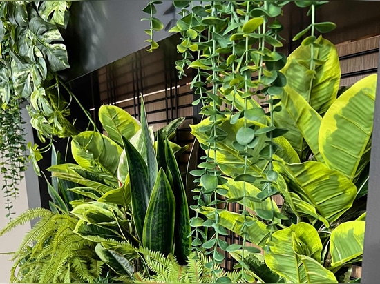 La jardinera de interior incorpora la malla soldada Banker WDZ-539 como enrejado en este espacio de coworking.
