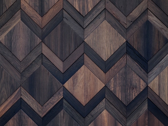Wonderwall Studios - Pista Bog Oak