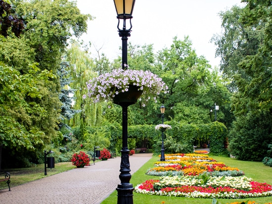 Jardineras para farolas: Florecer por encima de las calles