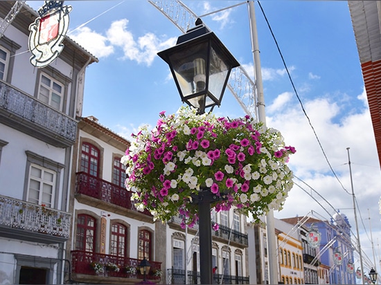 Jardineras para farolas: Florecer por encima de las calles