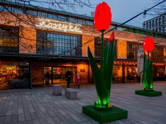 Ciudades de verano en flor y luz: Una nueva era de iluminación urbana