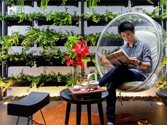 ¿Apostrophy? la casa urbana magnífica de s Bangkok se jacta un jardín de la vertical de 25 pies