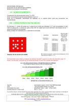 BALDOSA HEXDALLE® XE - 2