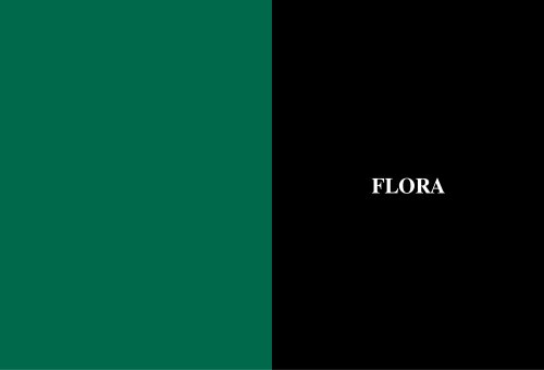 Flora