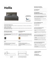 Hollis