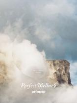 Pęrfect Wellne§