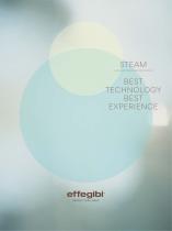 STEAM