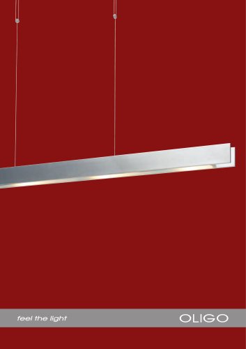 Single luminaire 2010 