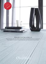 PROJECT DI CALLESELLA