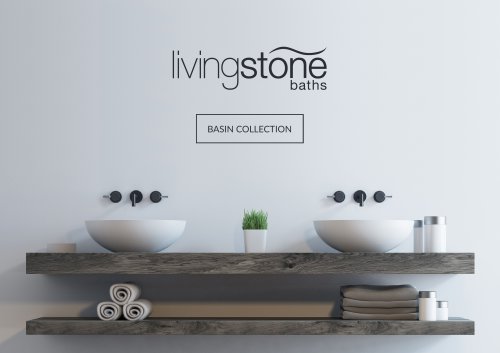 2021 Basin Collection