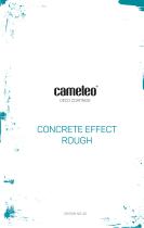 Concrete Effect Rough