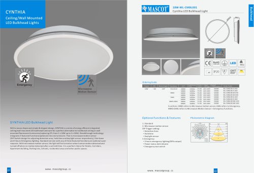 Bulkhead Ceiling lights